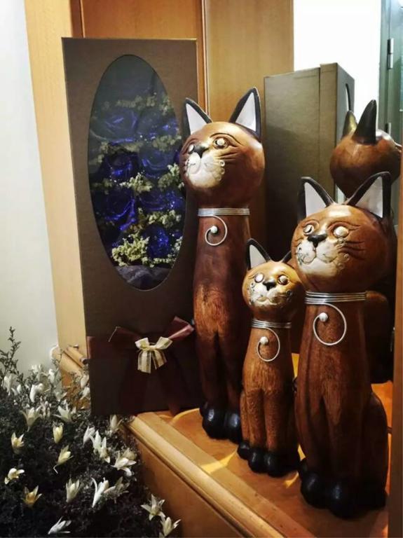 Kunming Cat Nest Female Youth Hostel المظهر الخارجي الصورة