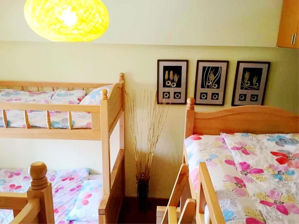Kunming Cat Nest Female Youth Hostel المظهر الخارجي الصورة